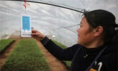 溫度對(duì)農(nóng)作物生長(zhǎng)發(fā)育的影響有哪些方面？