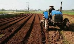 底肥深施的技術(shù)要求、操作要領(lǐng)及注意事項