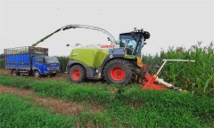 玉米青貯機械作業(yè)安全技術(shù)要求有哪些？