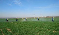禾草特在水田怎樣使用？使用禾草特注意事項(xiàng)