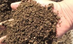 什么是土壤質地 按土壤質地土壤分為幾種類型？