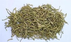 如何科學(xué)飲用金銀花茶？需注意哪些事項(xiàng)？