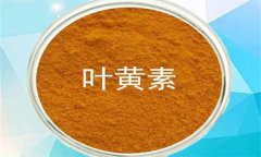 什么是葉黃素？哪些蔬菜富含葉黃素？