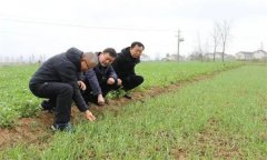 農(nóng)作物安全生產(chǎn)管理技術(shù)有哪些?