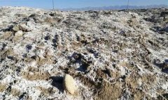 耕地土壤鹽堿化的原因及防控措施有哪些?