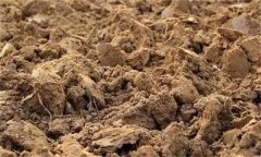 土壤肥力失衡、土壤質(zhì)量下降、土壤酸化怎么辦