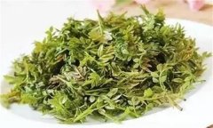 花椒芽苗菜如何進(jìn)行畦地生產(chǎn)？