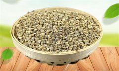 菠菜生長發(fā)育的過程是怎樣的？