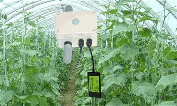 大棚內(nèi)施用二氧化碳氣體肥的方法