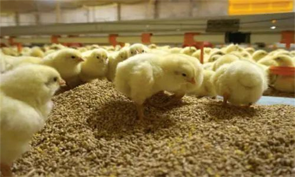 溫、濕度管理