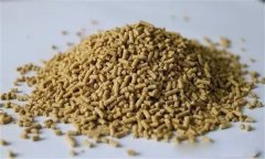 雞飼料中可以添加膽堿嗎？